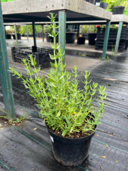 47184296-547D-4F9E-8414-DB1CEC4C